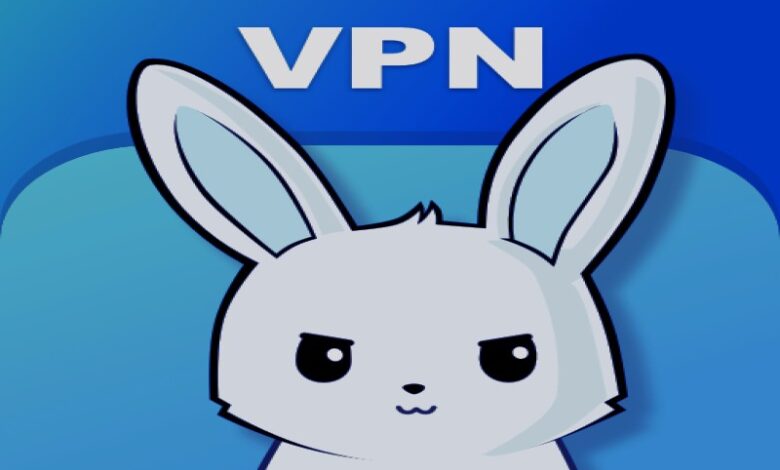 Bunny VPN MOD APK v1.4.6.076 Download (Premium Unlocked)